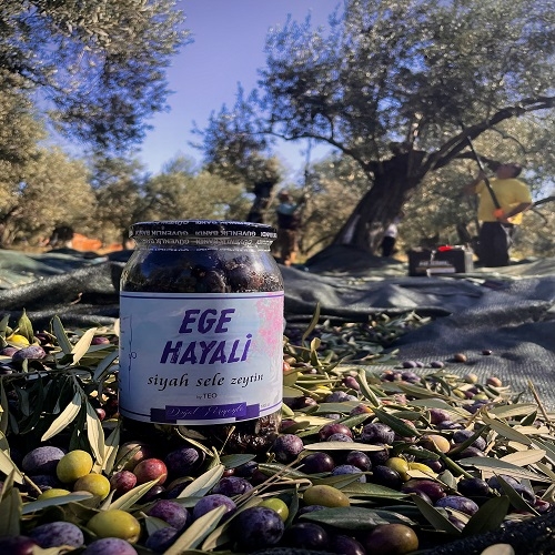 Doğal%20Siyah%20Sele%20Zeytin%20(1000cc)